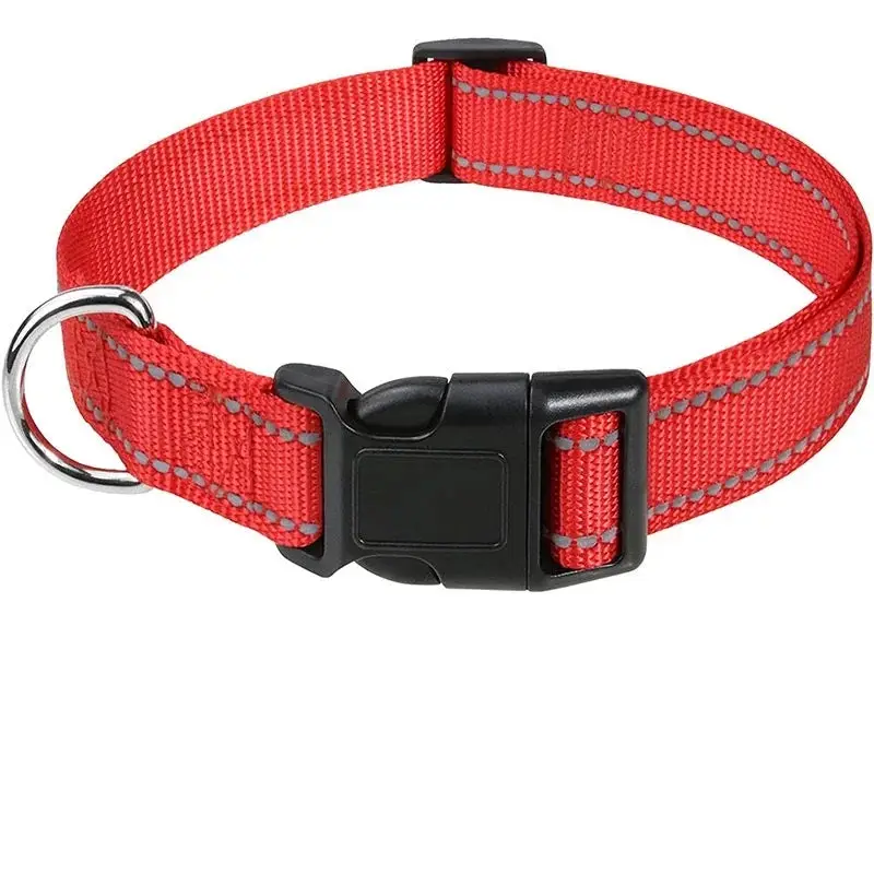Collier chiot femelle