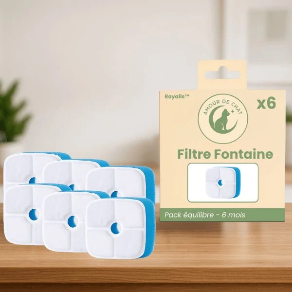 Filtre fontaine chat grande capacité - Royalis™