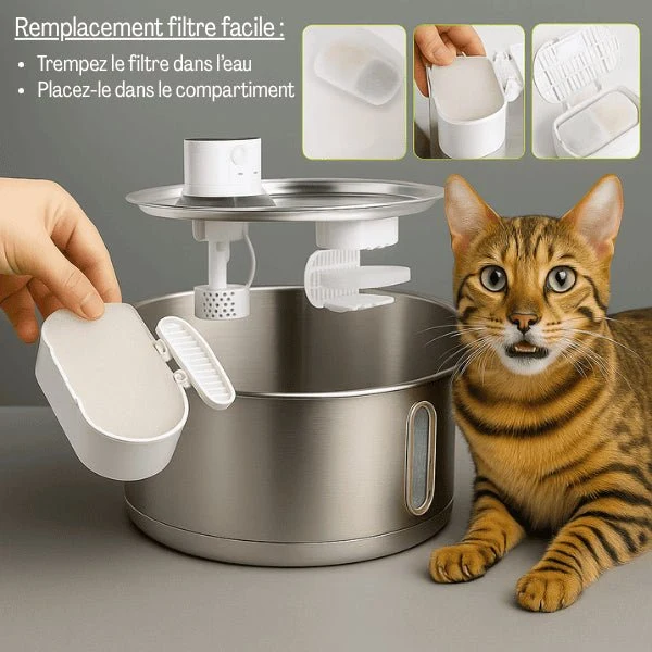 Filtre fontaine à chat - Catronic™ : Multi-filtration