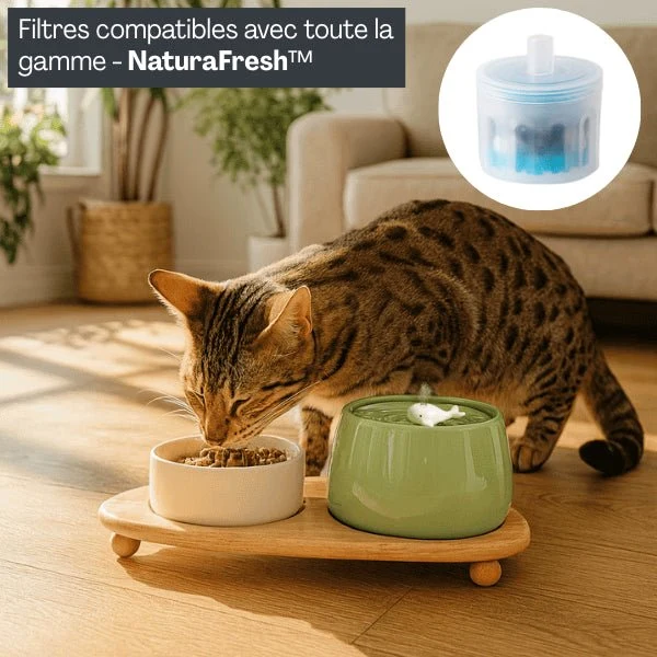 Filtre fontaine à eau pour chat - NaturaFresh™ : Meilleure hydratation