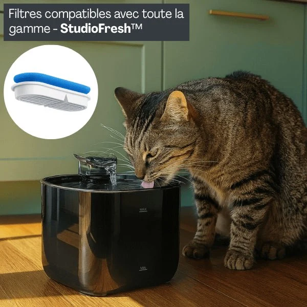 Filtres fontaine chat - Studiofresh™ : Santé optimale