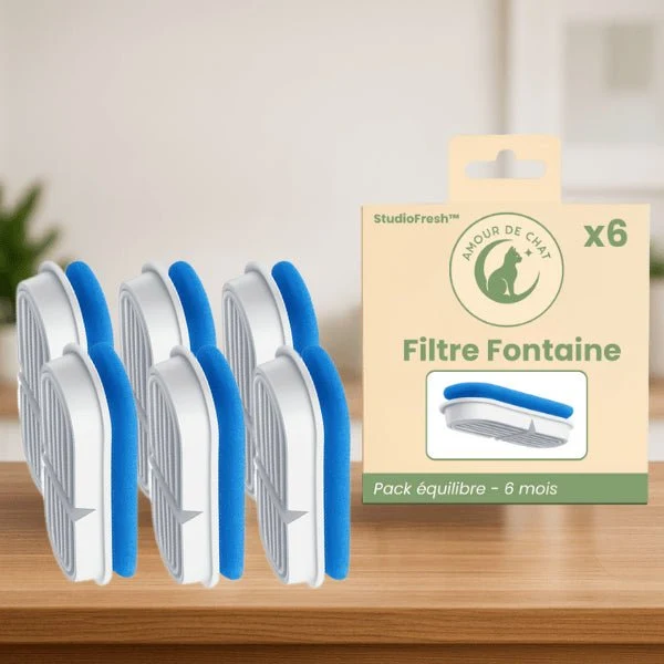Filtres fontaine chat - Studiofresh™ : Santé optimale