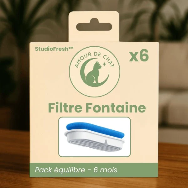 Filtres fontaine chat - Studiofresh™ : Santé optimale