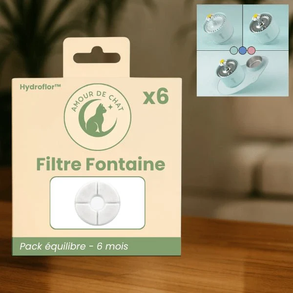 Filtre fontaine à eau chat - Hydroflor™ : Eau rafraîchissante
