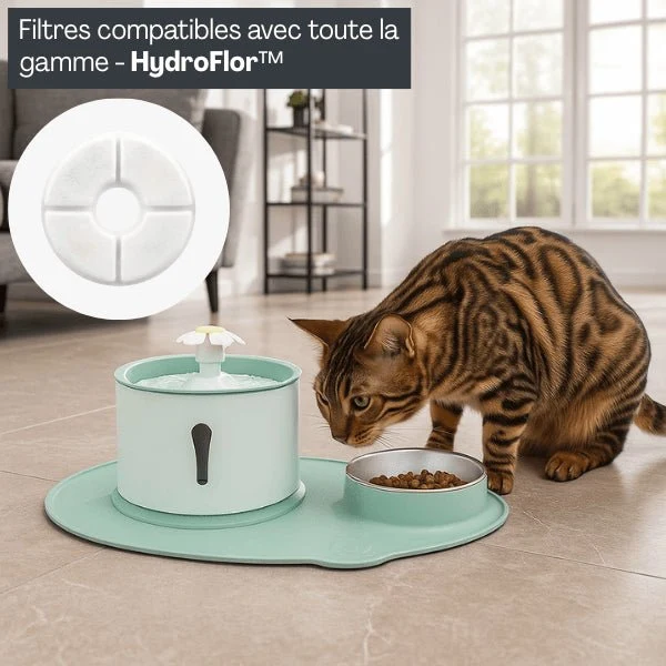 Filtre fontaine à eau chat - Hydroflor™ : Eau rafraîchissante