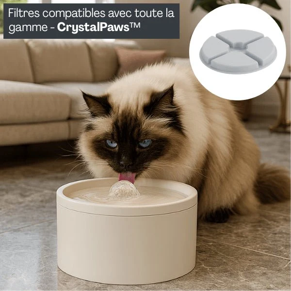 Filtre pour fontaine à eau chat - CrystalPaws™ : Eau plus pure