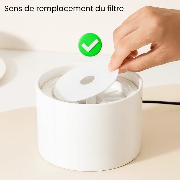 Filtre pour fontaine à eau chat - CrystalPaws™ : Eau plus pure