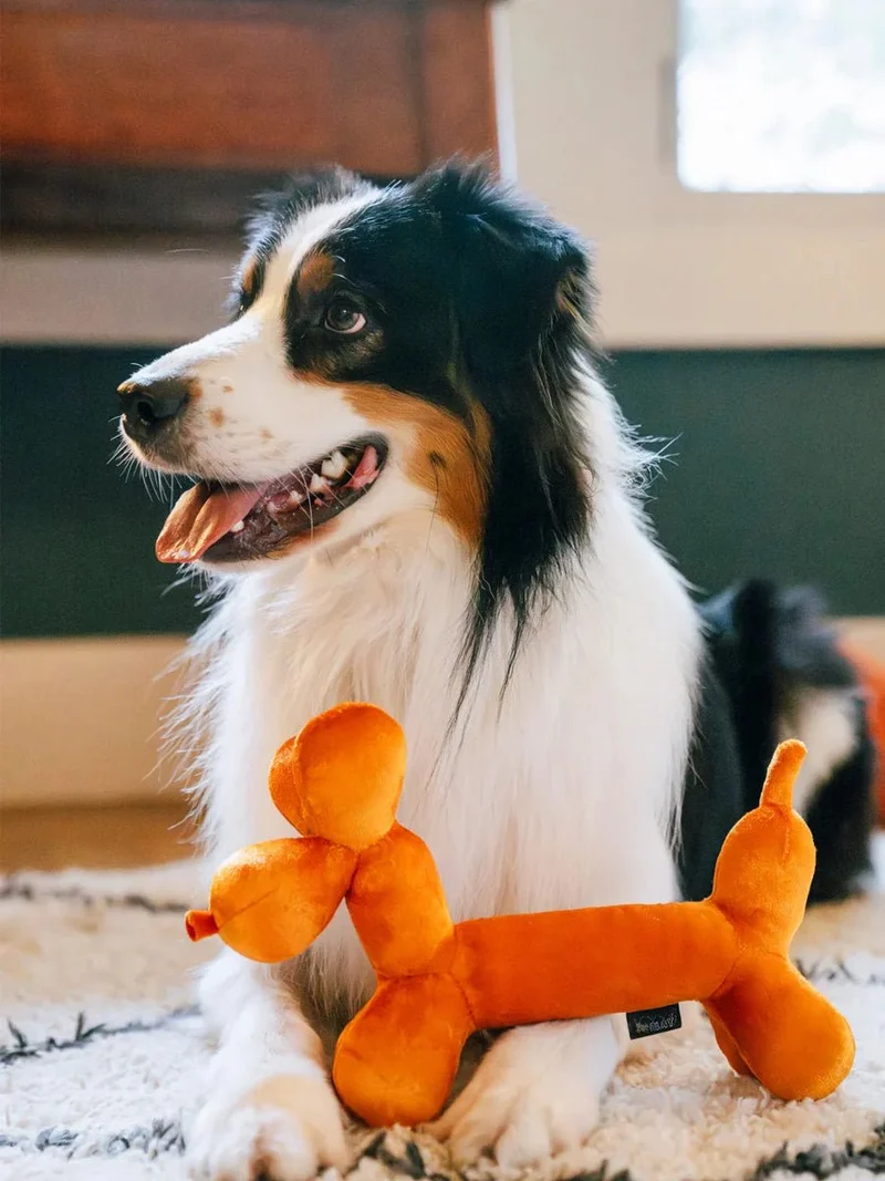 Peluche pour chien Ballon Party Animals Pet PLAY