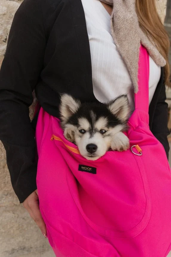 Sac de transport bandoulière pour chien Le Loop MOOF — Style & Liberté