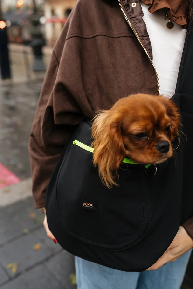 Sac de transport bandoulière pour chien Le Loop MOOF — Style & Liberté