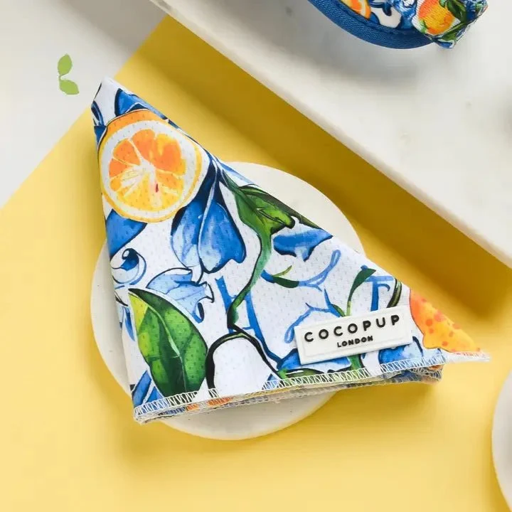 Bandana pour chien Amalfi Lemon CocoPup London