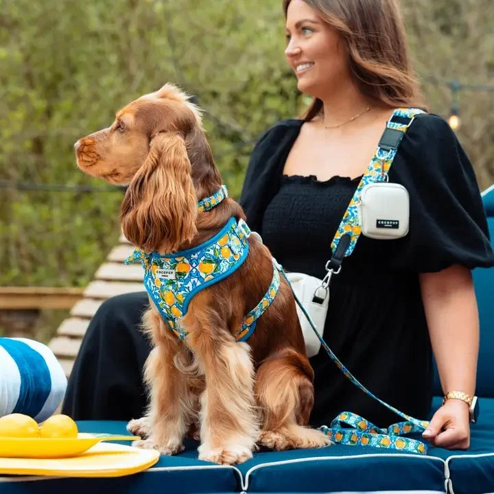 Laisse pour chien Amalfi Lemon CocoPup London