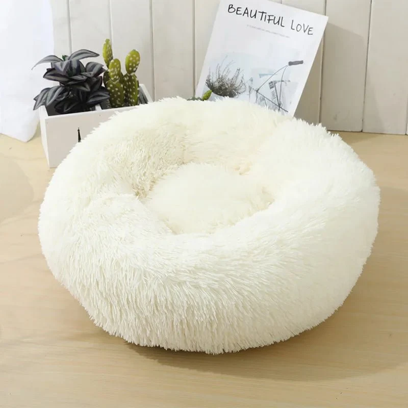 Beau panier pour chien