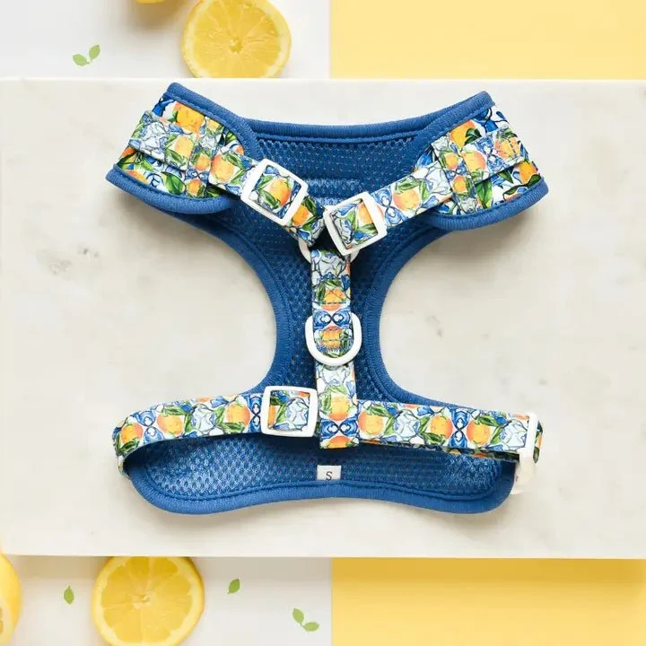Harnais pour chien réglable Amalfi Lemon CocoPup London
