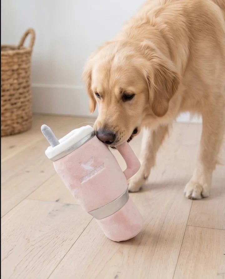 Jouet pour chien gourde de sport Blush