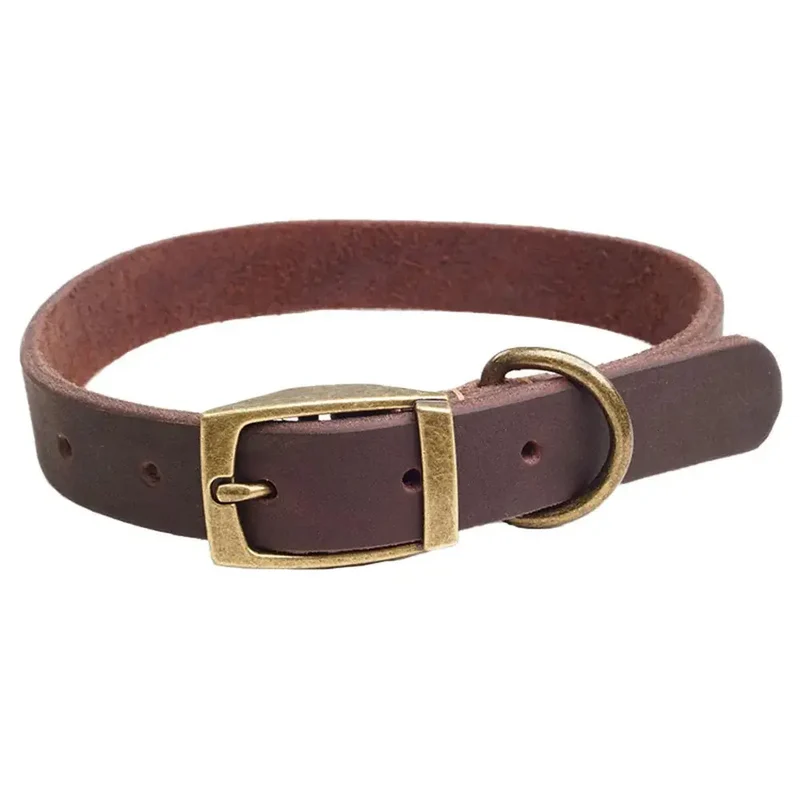 Collier chiot cuir