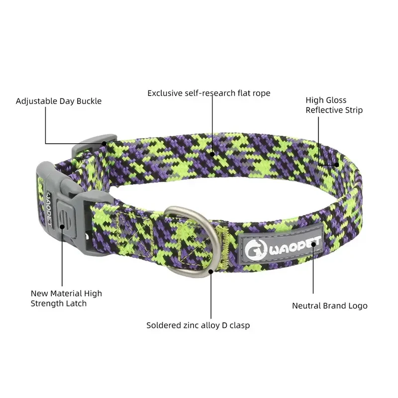 Collier chiot jack russel