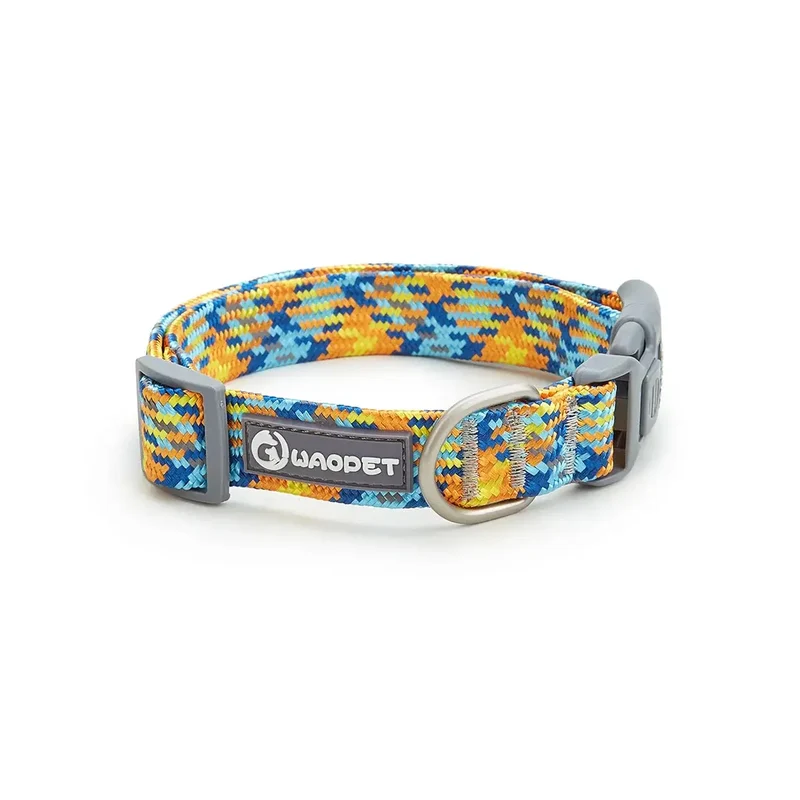 Collier chiot husky