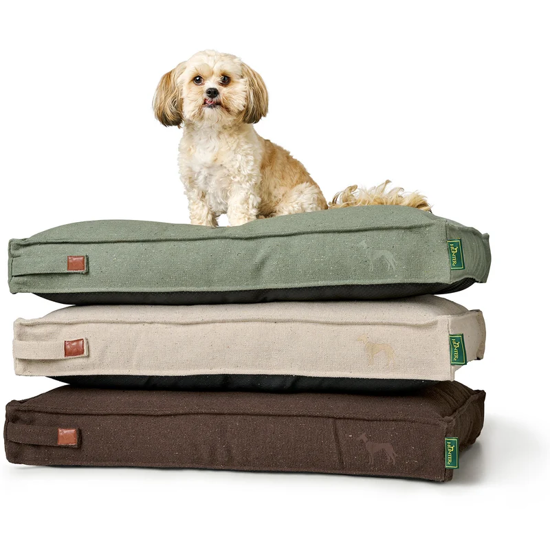 Recycling Hundekissen Belluno