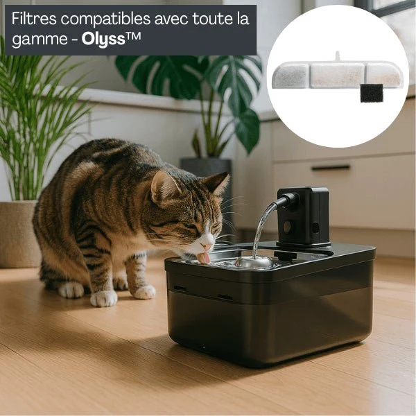 Filtre fontaine eau chats - Olyss™ : Eau purifiante