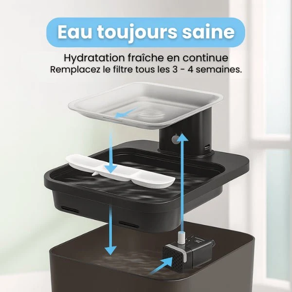 Filtre fontaine eau chats - Olyss™ : Eau purifiante