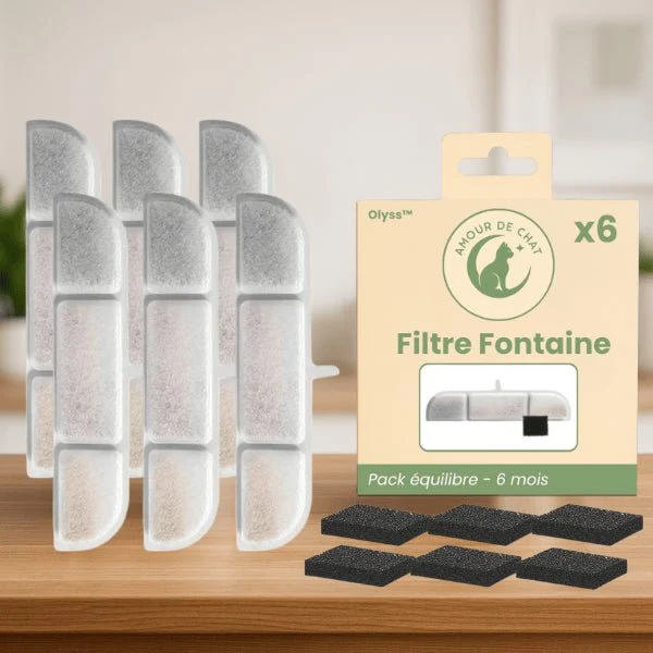 Filtre fontaine eau chats - Olyss™ : Eau purifiante