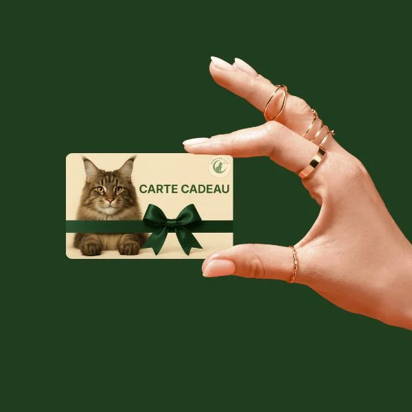 Carte cadeau chat - Plaisir et bonheur félin