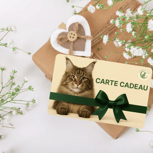 Carte cadeau chat - Plaisir et bonheur félin