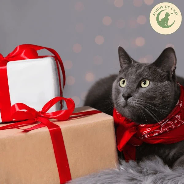 Carte cadeau chat - Plaisir et bonheur félin