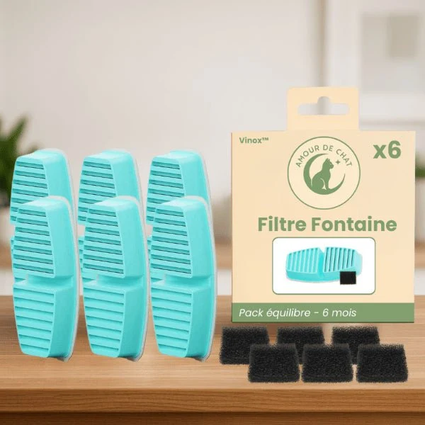 Filtre fontaine a eau pour chat - Vinox™ : Eau filtrée