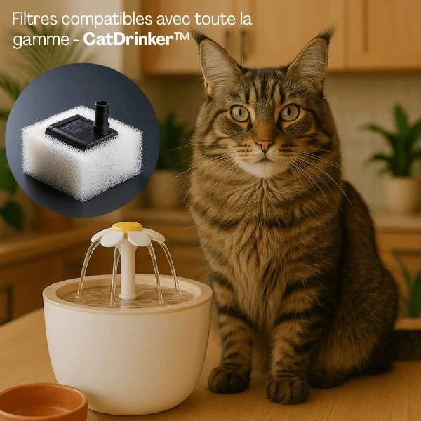 Filtre fontaine a eau chat - CatDrinker™ : Purification d'eau