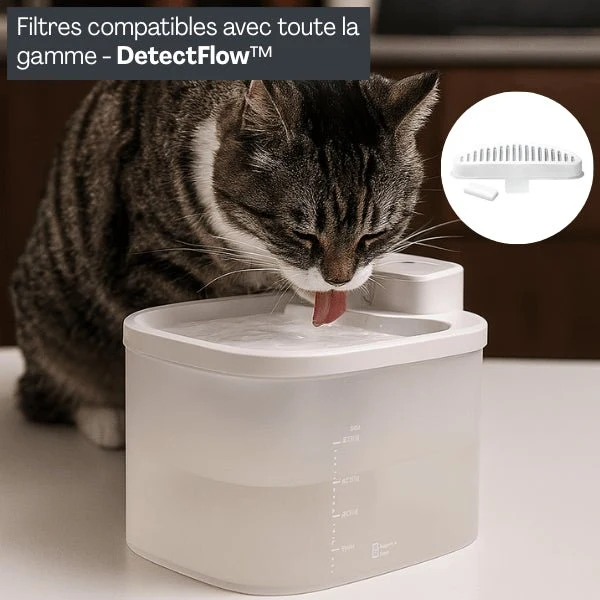 Filtre fontaine chat - DetectFlow™ : eau saine