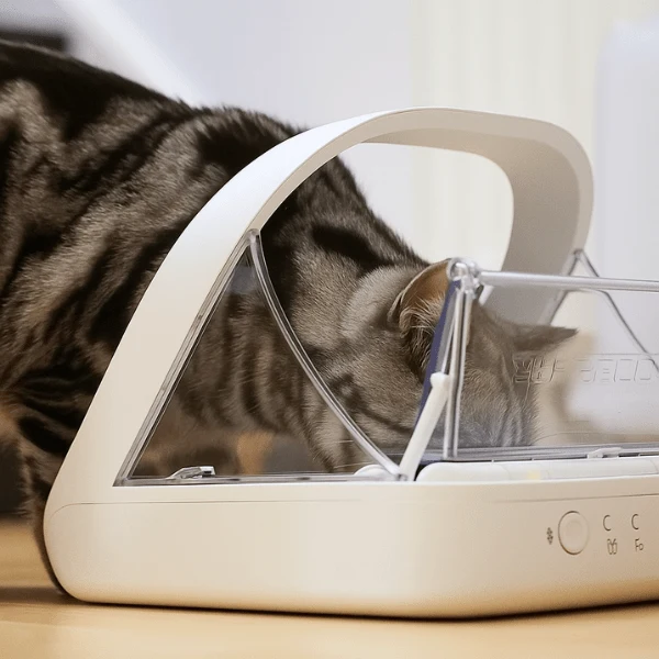 Gamelle automatique chat avec puce - MiaoMatic Puce™ : repas exclusif