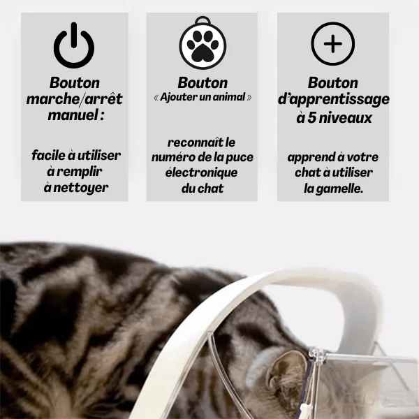 Gamelle automatique chat avec puce - MiaoMatic Puce™ : repas exclusif