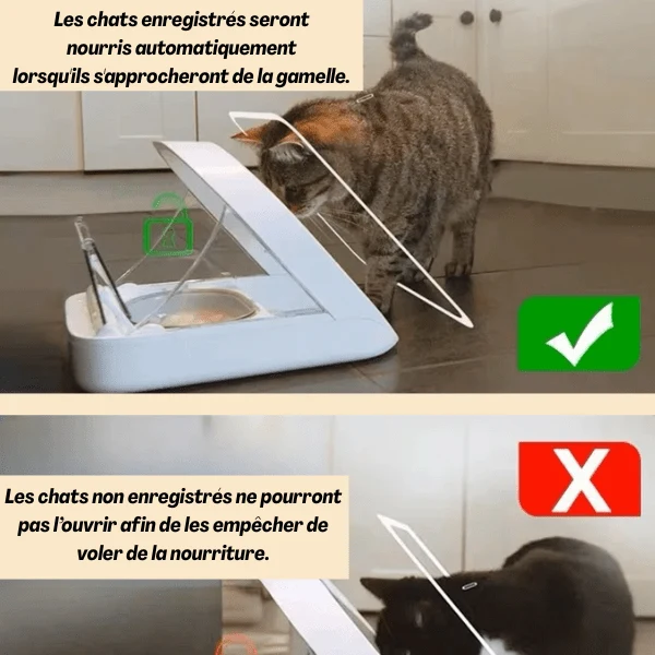 Gamelle automatique chat avec puce - MiaoMatic Puce™ : repas exclusif
