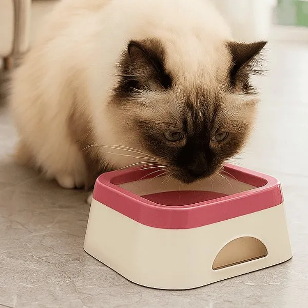 Gamelle eau chat - Vitalo™ : Anti-éclaboussures 1 L