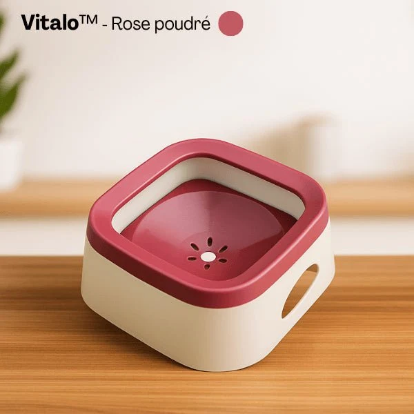 Gamelle eau chat - Vitalo™ : Anti-éclaboussures 1 L