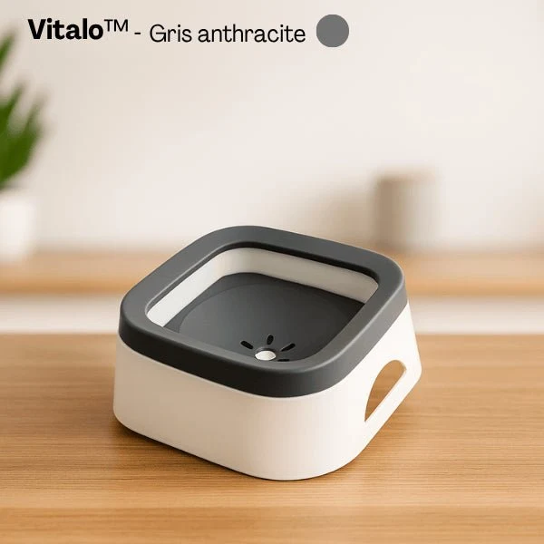 Gamelle eau chat - Vitalo™ : Anti-éclaboussures 1 L