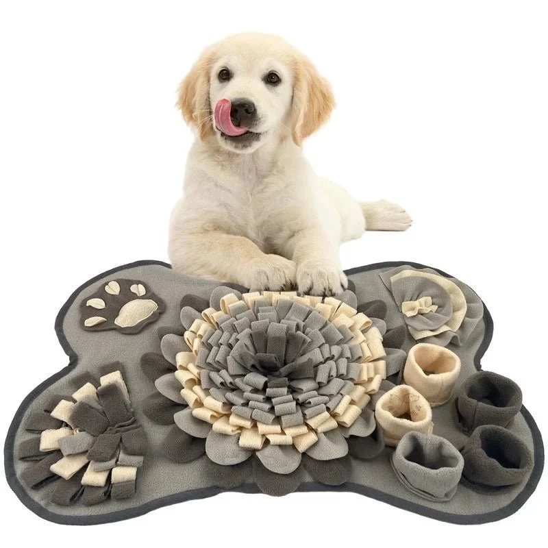 Tapis de recherche chien