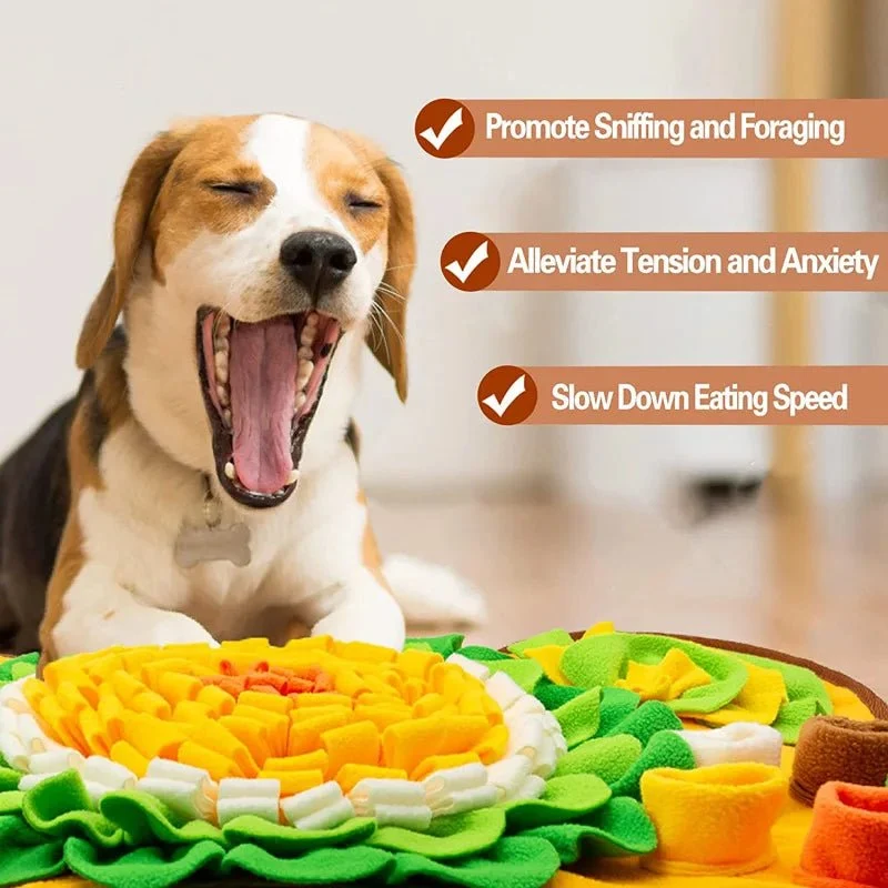 Tapis de recherche chien