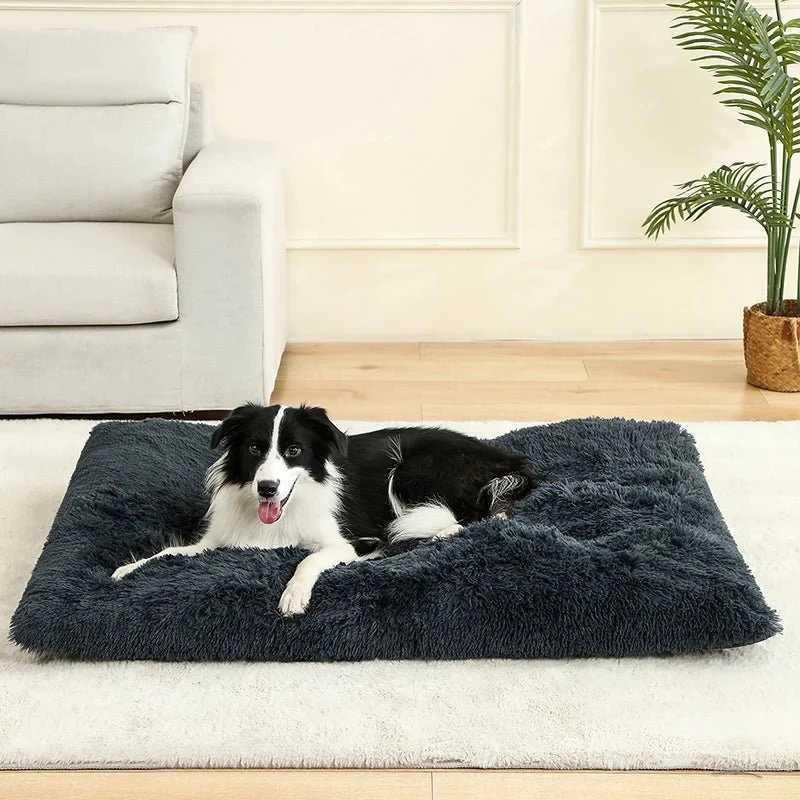 Bon panier pour chien