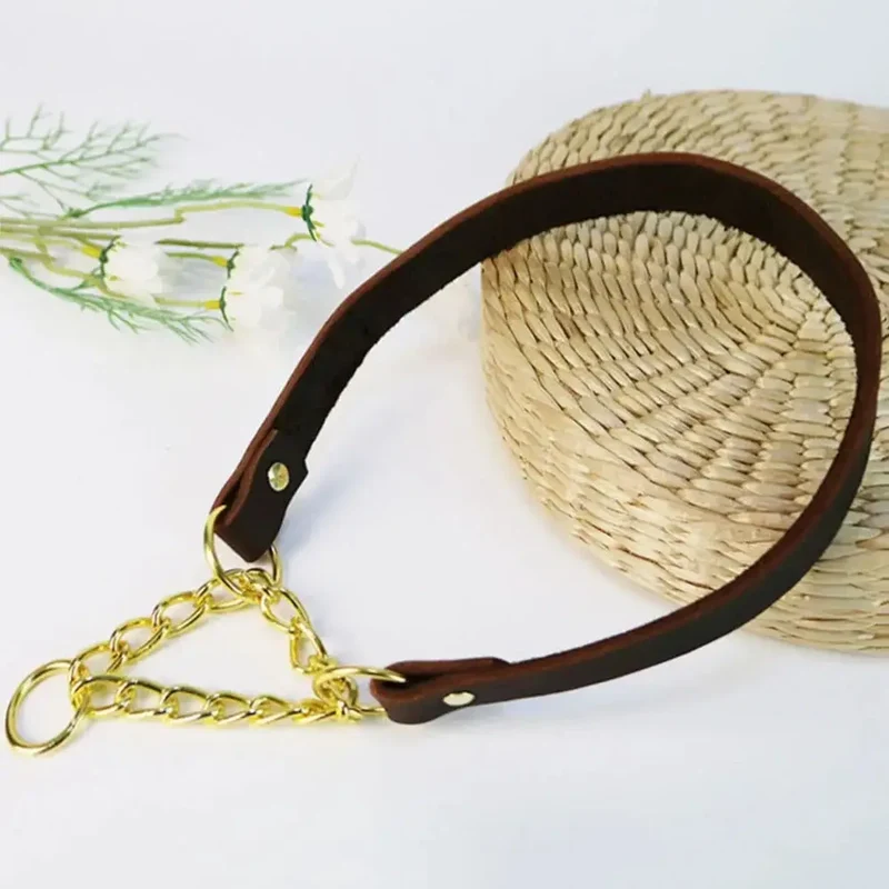 Collier étrangleur anti-fugue pour chien