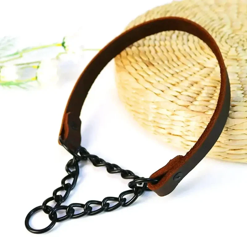 Collier étrangleur anti-fugue pour chien