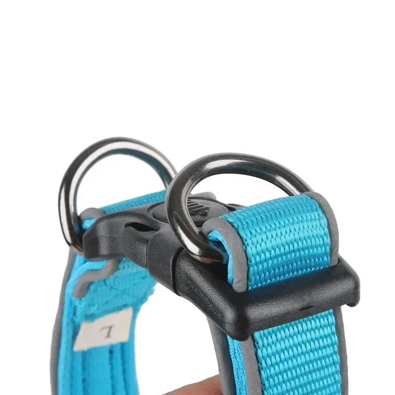 Collier étrangleur anti-fugue pour promenade
