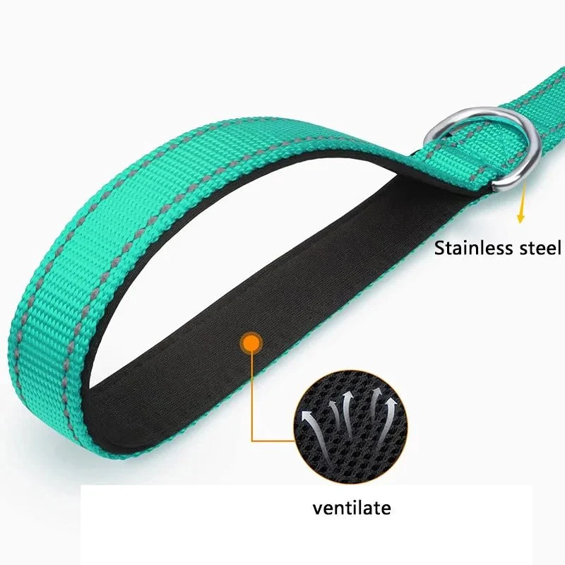 Laisse pour chien spitz nain