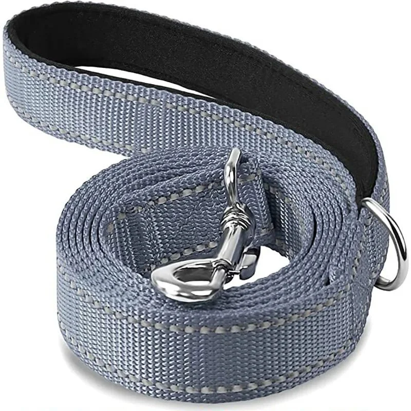 Laisse pour chien spitz nain
