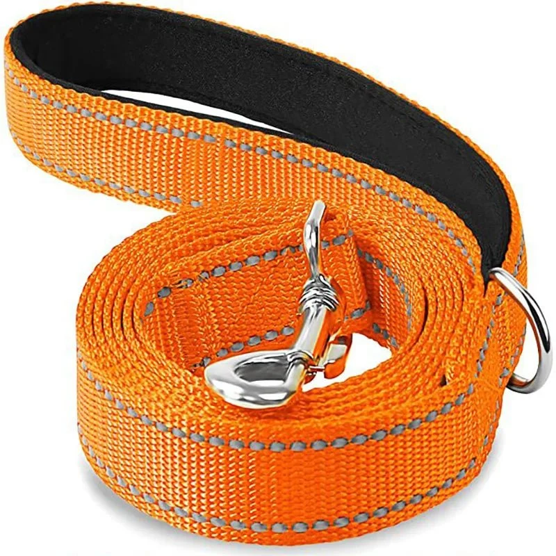Laisse pour chien spitz nain