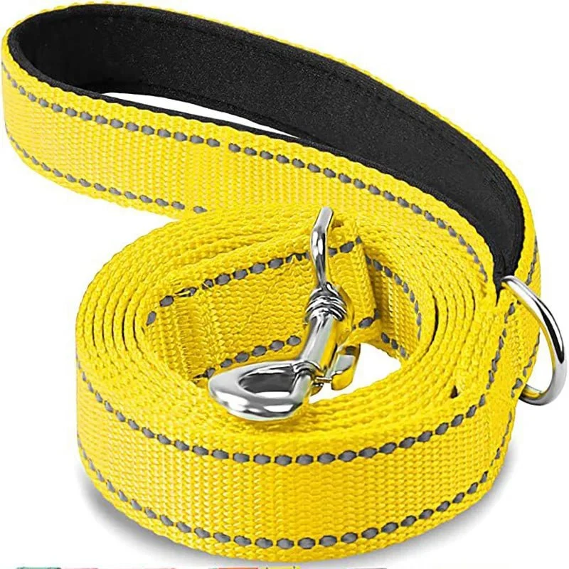 Laisse pour chien spitz nain