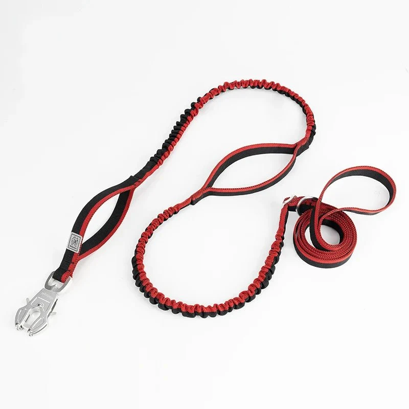 Laisse tactique pour chien