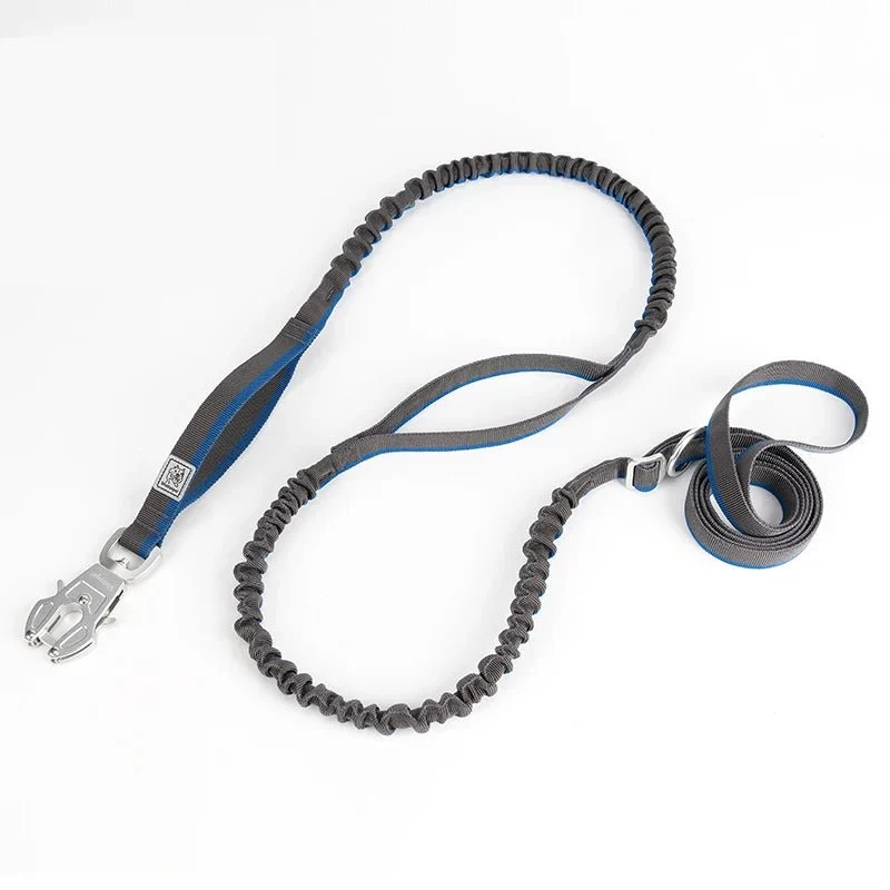 Laisse tactique pour chien